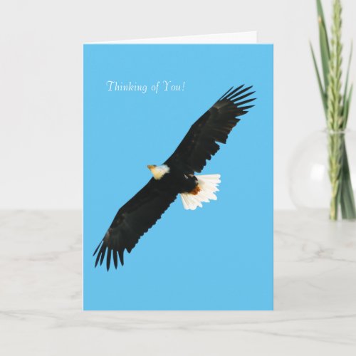 Bald Eagle image for Greeting_card Card