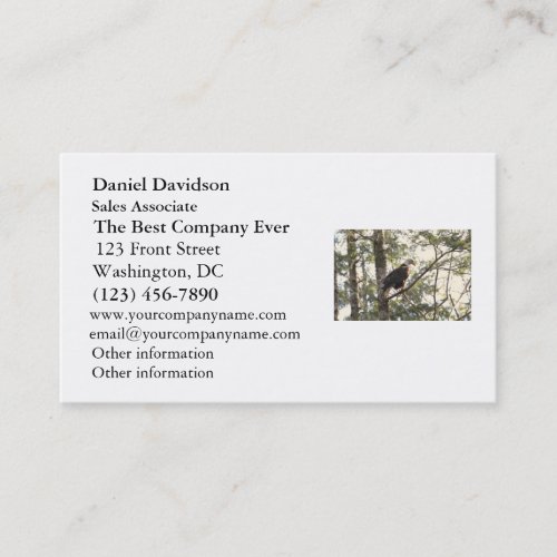 Bald Eagle in a Tree Business Card Template