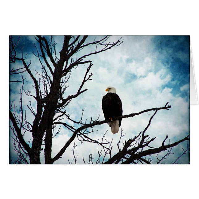 Bald Eagle in a Tree With Blue Sky All Occasions Cards (Front Horizontal)