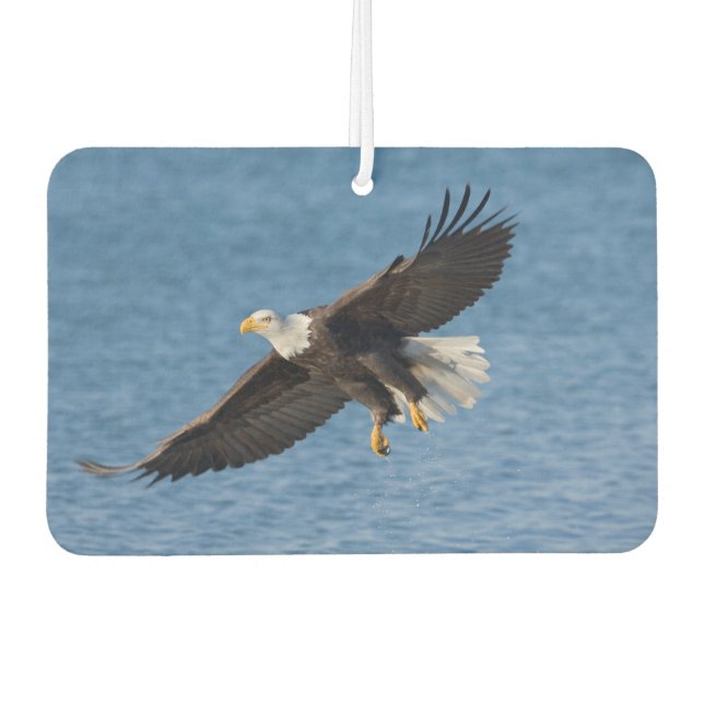 Bald eagle in flight air freshener (Front)
