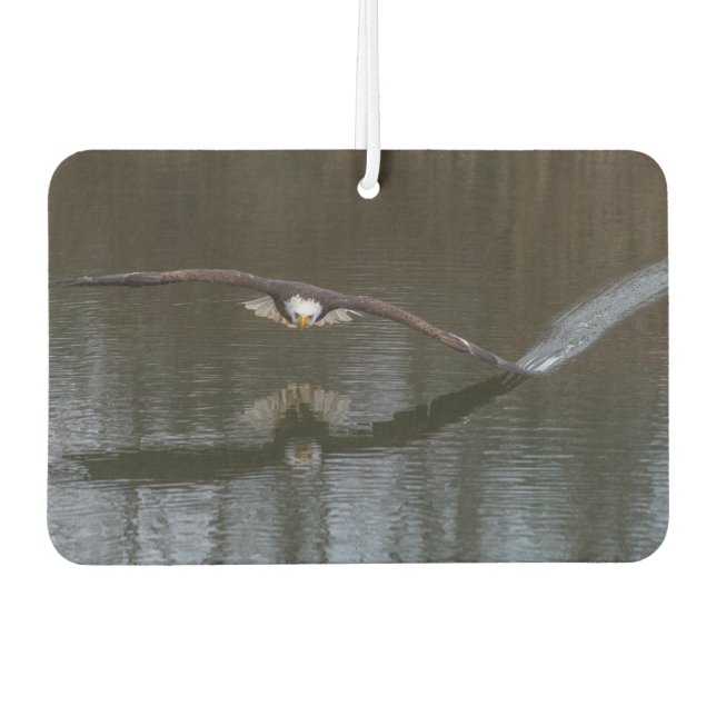 Bald Eagle in Flight Air Freshener (Front)