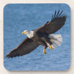 Bald eagle in flight beverage coaster<br><div class="desc">Bald eagle,  Homer,  Southcentral Alaska</div>