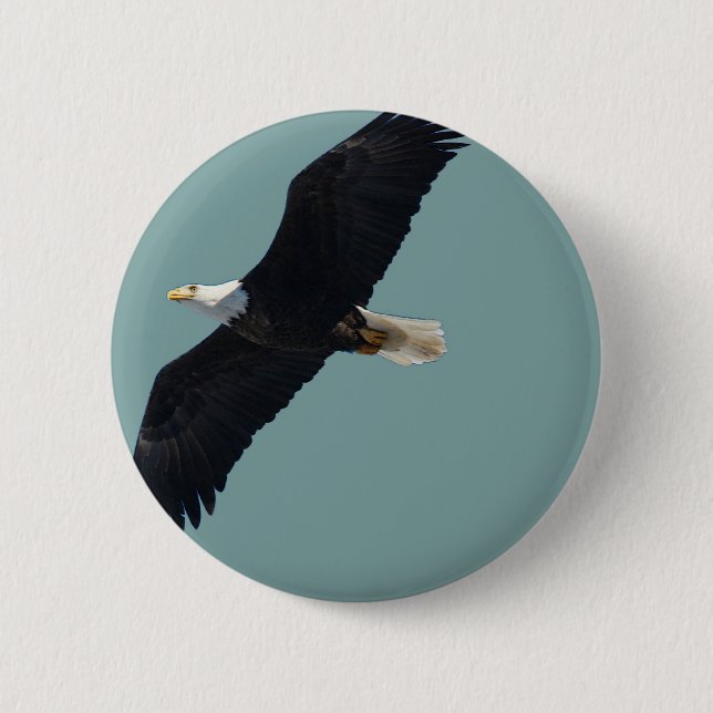 bald eagle in flight button (Front)