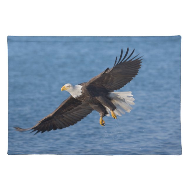 Bald eagle in flight cloth placemat (Front)