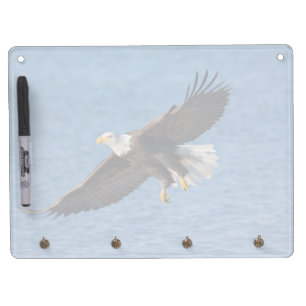Bald eagle in flight dry erase board with keychain holder
