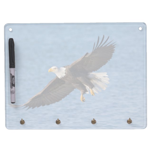 Bald eagle in flight dry erase board with keychain holder (Front)