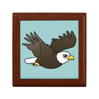 Bald Eagle in flight Gift Box