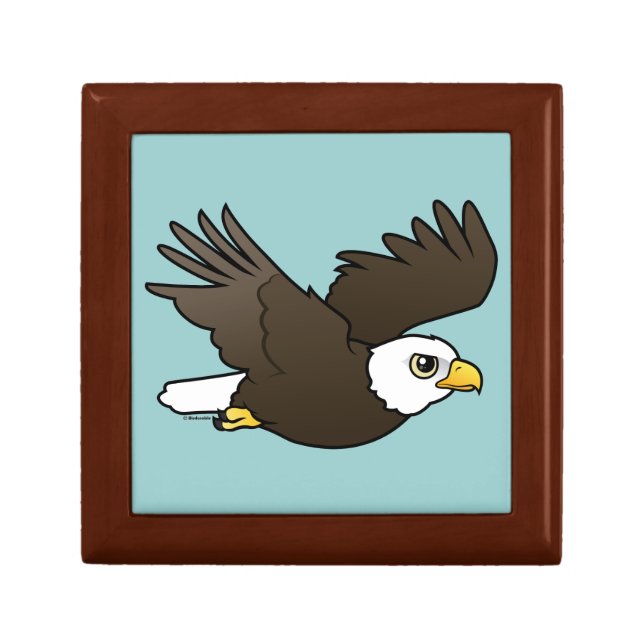 Bald Eagle in flight Gift Box (Front)