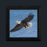 Bald eagle in flight gift box<br><div class="desc">Bald eagle,  Homer,  Southcentral Alaska</div>