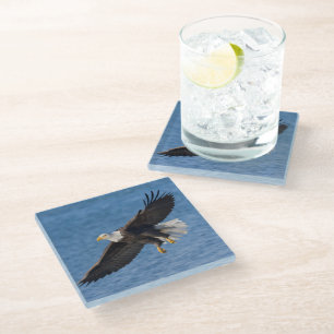Bald eagle in flight glass coaster