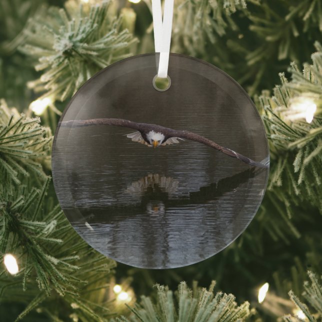 Bald Eagle in Flight Glass Ornament (Insitu)