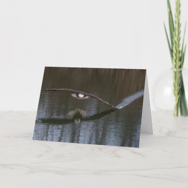 Bald Eagle in Flight Greeting Card (Front)
