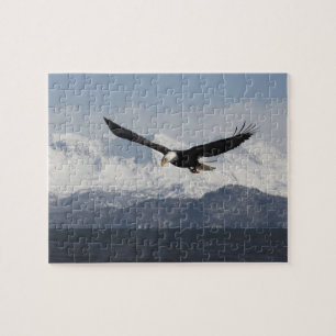 Bald Eagle in Flight, Haliaeetus leucocephalus, Jigsaw Puzzle
