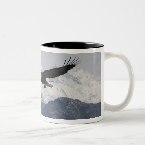 Bald Eagle in Flight Haliaeetus leucocephalus Two_Tone Coffee Mug