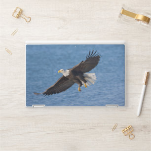 Bald eagle in flight HP laptop skin