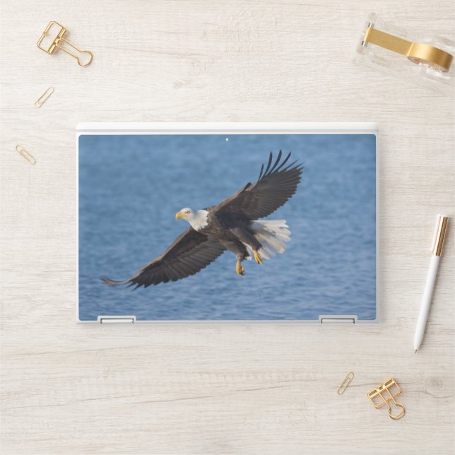 Bald eagle in flight HP laptop skin (Desk)