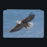 Bald eagle in flight iPad mini cover<br><div class="desc">Bald eagle,  Homer,  Southcentral Alaska</div>