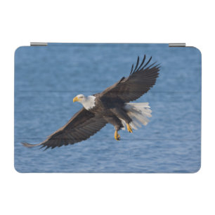 Bald eagle in flight iPad mini cover