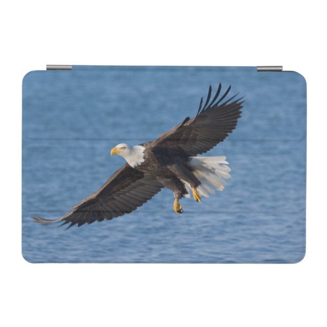 Bald eagle in flight iPad mini cover (Horizontal)