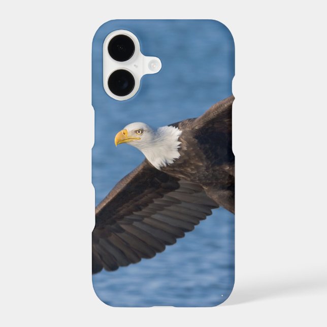 Bald eagle in flight iphone case (Back)