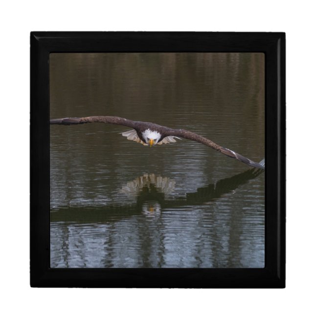 Bald Eagle in Flight Jewelry Box (Front)