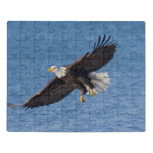 Bald eagle in flight jigsaw puzzle