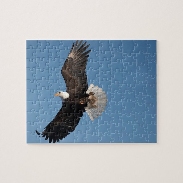 Bald Eagle in Flight Jigsaw Puzzle (Horizontal)