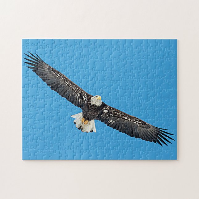 Bald Eagle in flight Jigsaw Puzzle (Horizontal)