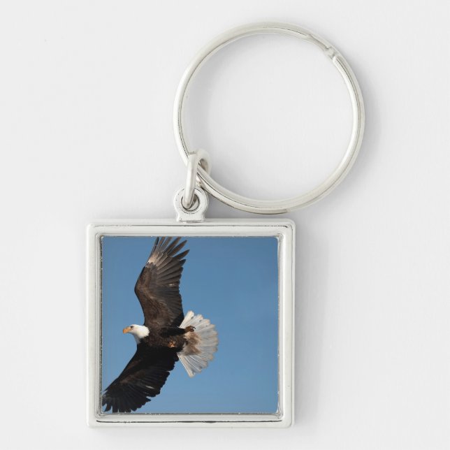 Bald Eagle in Flight Keychain (Front)