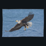 Bald eagle in flight kitchen towel<br><div class="desc">Bald eagle,  Homer,  Southcentral Alaska</div>