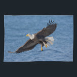 Bald eagle in flight kitchen towel<br><div class="desc">Bald eagle,  Homer,  Southcentral Alaska</div>