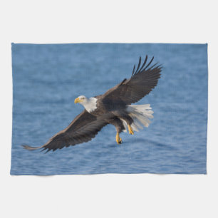 Bald eagle in flight kitchen towel