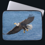 Bald eagle in flight laptop sleeve<br><div class="desc">Bald eagle,  Homer,  Southcentral Alaska</div>