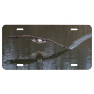Bald Eagle in Flight License Plate
