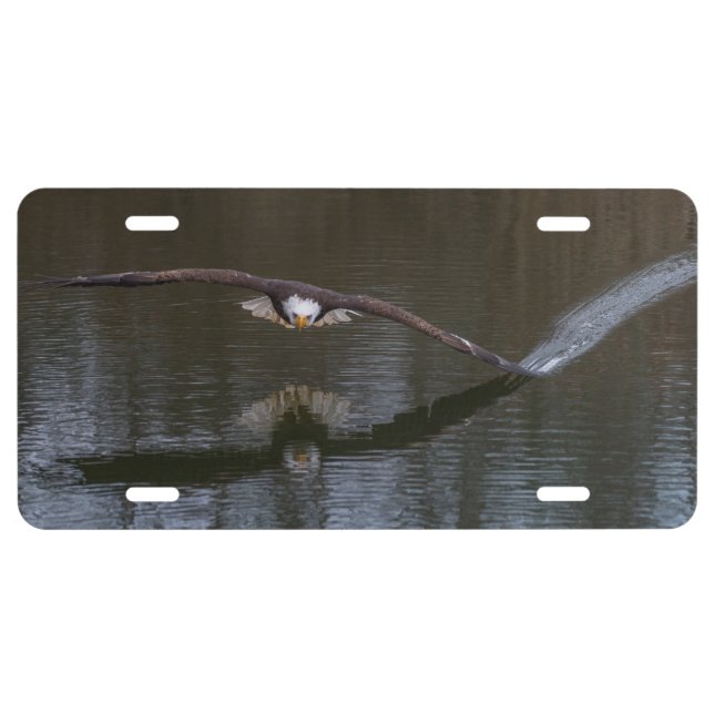 Bald Eagle in Flight License Plate (Front)