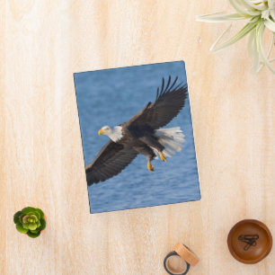 Bald eagle in flight mini binder