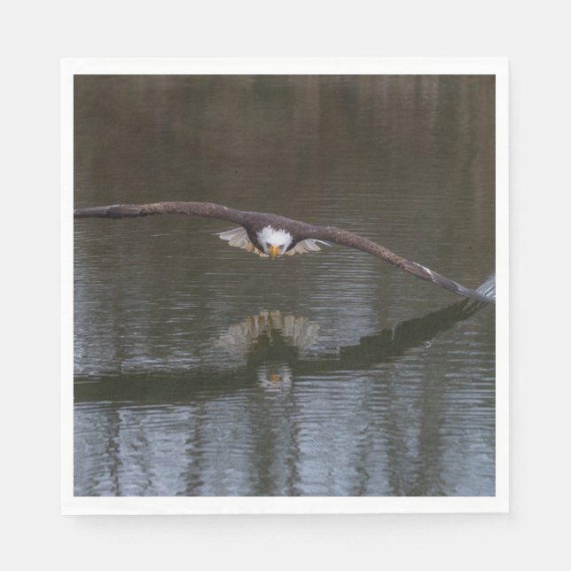 Bald Eagle in Flight Napkins (Front)
