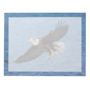 Bald eagle in flight notepad