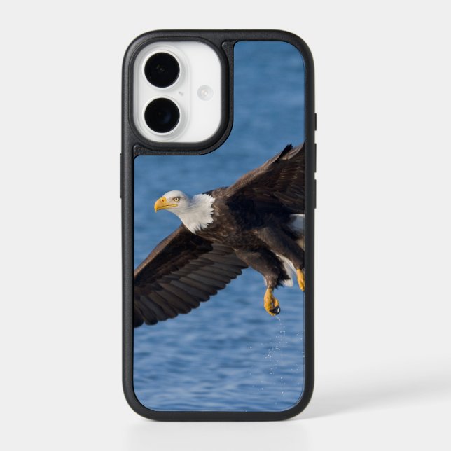 Bald eagle in flight otterbox iPhone case (Back)