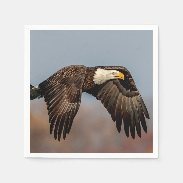 Bald Eagle in flight Paper Napkins (Front)