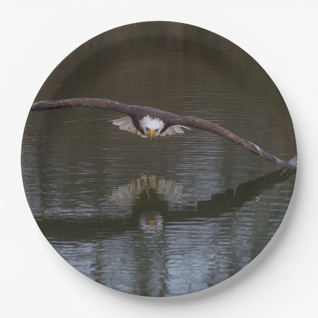 Bald Eagle in Flight Paper Plates (Front)