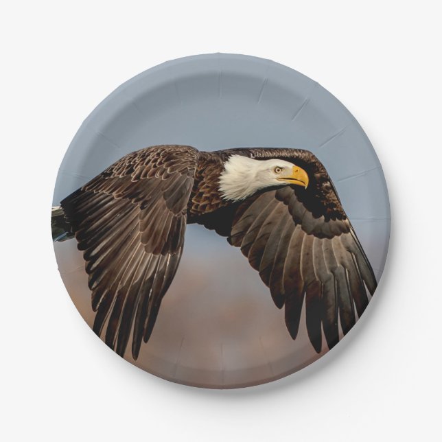 Bald Eagle in flight Paper Plates (Front)