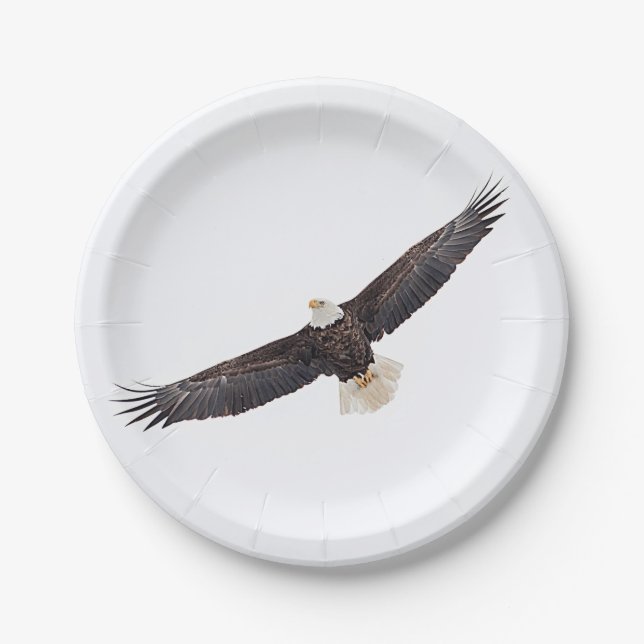 Bald Eagle in flight Paper Plates (Front)