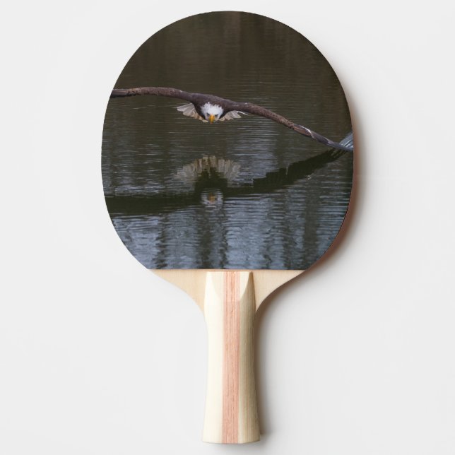 Bald Eagle in Flight Ping Pong Paddle (Front)