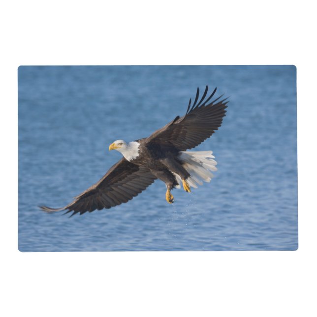 Bald eagle in flight placemat (Front)