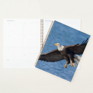 Bald eagle in flight planner
