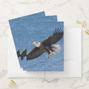 Bald eagle in flight pocket folder