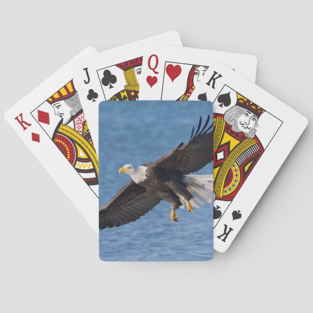 Bald eagle in flight poker cards (Back)