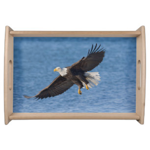 Bald eagle in flight serving tray