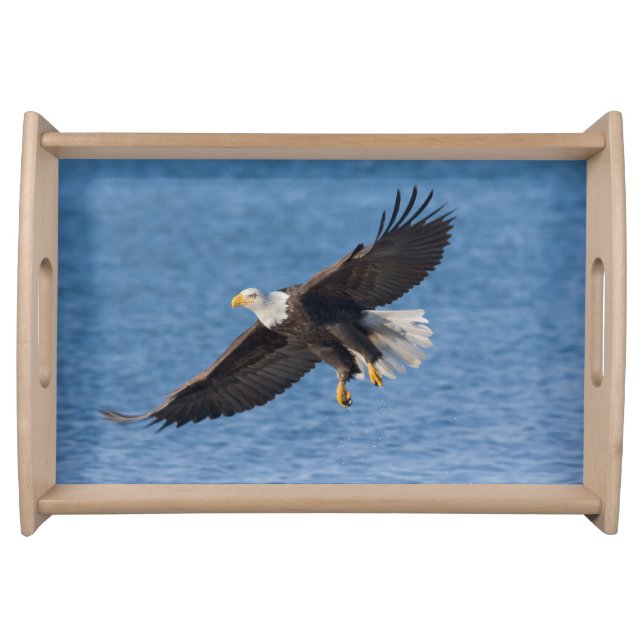 Bald eagle in flight serving tray (Front)